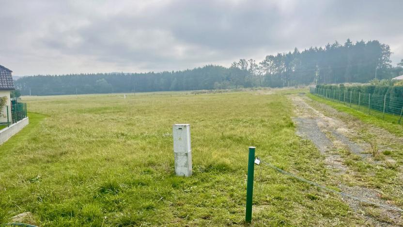 Prodej pozemku, Příbram - Orlov, 2297 m2