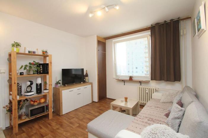Prodej bytu 2+kk, Cihelna, Kunětická, 42 m2