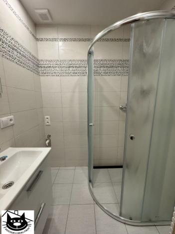 Pronájem bytu 1+1, Příbram - Příbram VII, Prof. Skupy, 35 m2