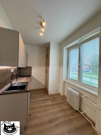 Pronájem bytu 1+1, Příbram - Příbram VII, Prof. Skupy, 35 m2