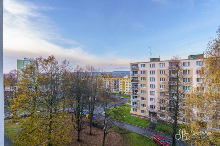 Prodej bytu 3+1, Sokolov, Mánesova, 83 m2