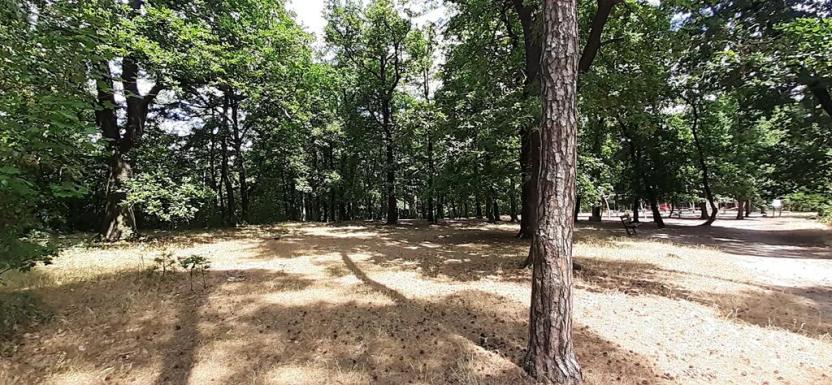 Prodej bytu 3+kk, Odolena Voda, 73 m2