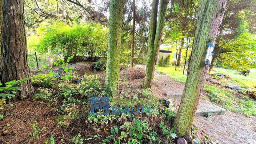 Prodej rodinného domu, Úpice, Palackého, 150 m2