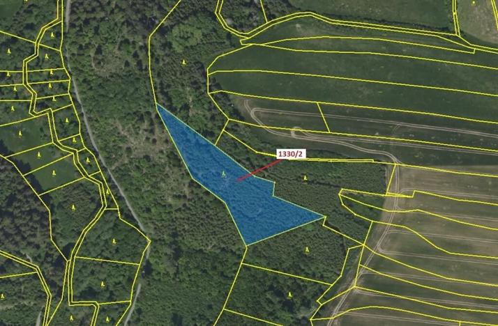 Dražba lesa, Čestín, 7932 m2