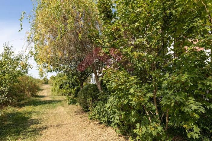 Pronájem bytu 3+kk, Praha - Dolní Měcholupy, V osikách, 75 m2