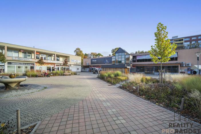 Pronájem bytu 1+kk, Pardubice, Ohrazenická, 28 m2