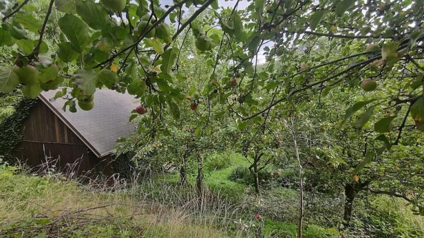 Prodej pozemku pro bydlení, Vysoké Mýto, Vinice, 1447 m2