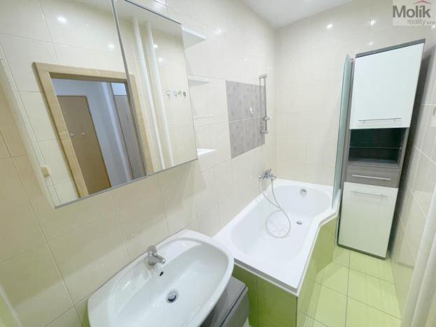 Pronájem bytu 2+1, Most, Petra Jilemnického, 55 m2