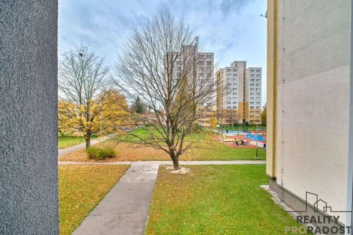 Pronájem bytu 1+1, Ostrava - Hrabůvka, U Haldy, 39 m2