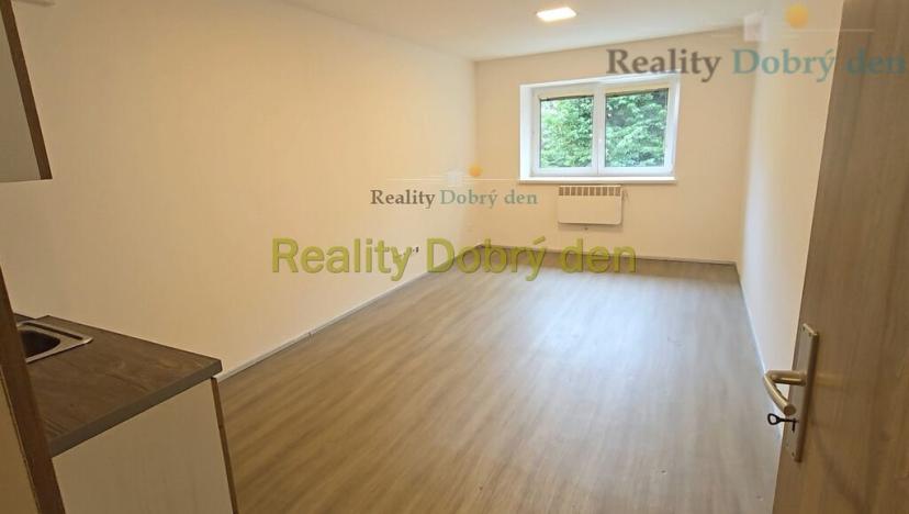 Pronájem bytu 1+kk, Opava, Hany Kvapilové, 30 m2