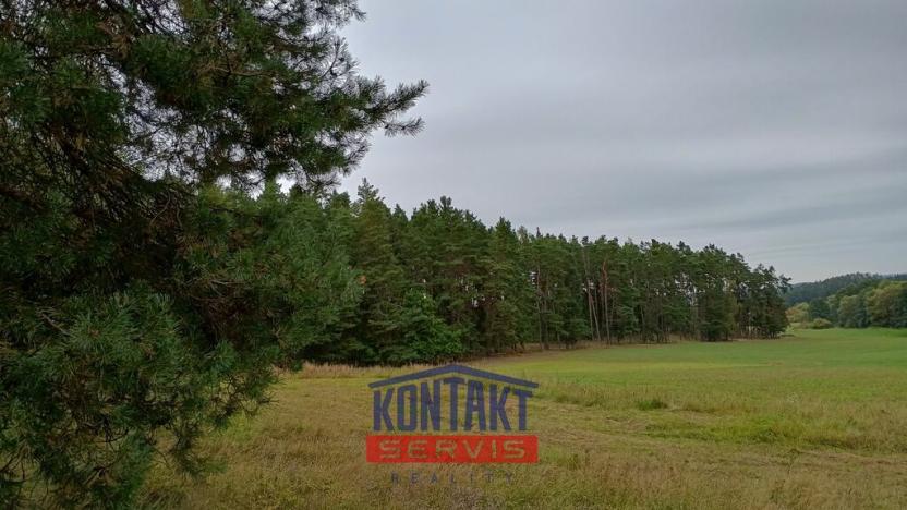 Prodej lesa, Budětice - Vlkonice, 32746 m2