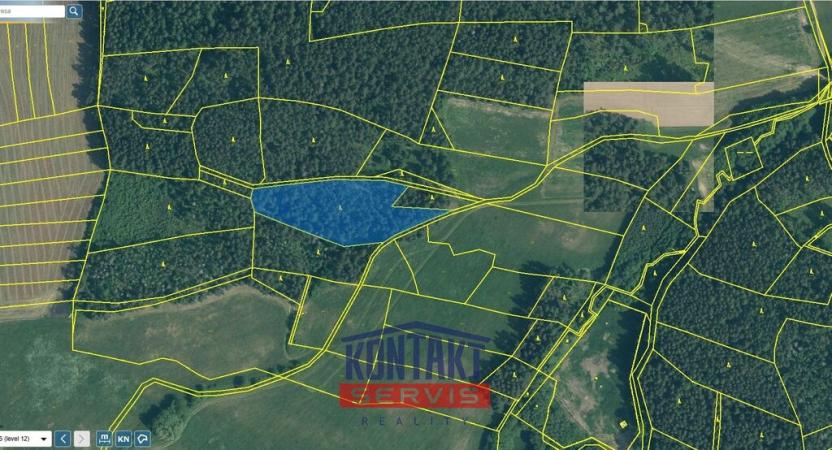 Prodej lesa, Budětice - Vlkonice, 32746 m2