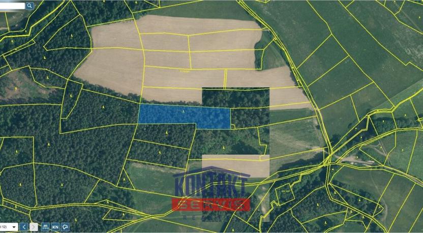 Prodej lesa, Budětice - Vlkonice, 32746 m2