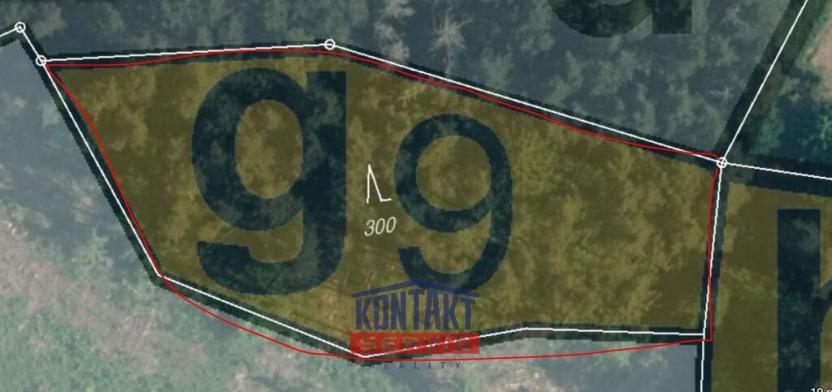 Prodej lesa, Budětice - Vlkonice, 32746 m2