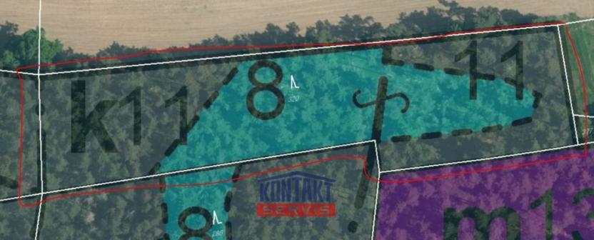 Prodej lesa, Budětice - Vlkonice, 32746 m2