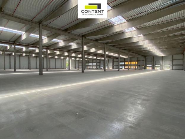 Pronájem výrobních prostor, Kolín - Kolín IV, Zengrova, 6200 m2