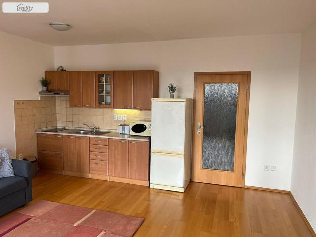 Pronájem bytu 1+kk, Praha - Strašnice, Názovská, 42 m2