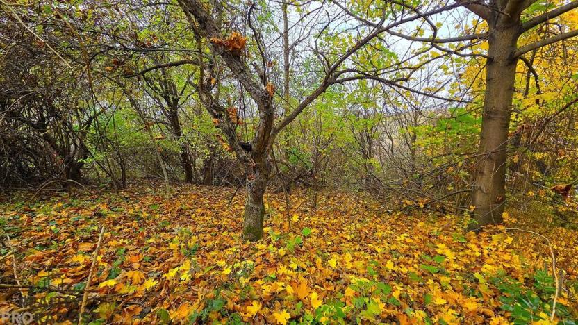 Prodej rodinného domu, Uhřice, 60 m2
