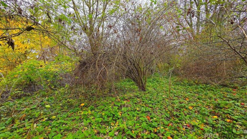 Prodej rodinného domu, Uhřice, 60 m2