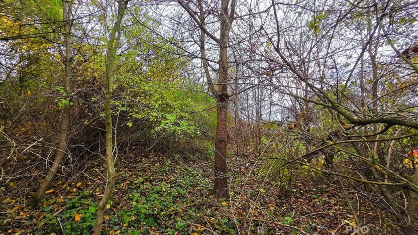 Prodej rodinného domu, Uhřice, 60 m2