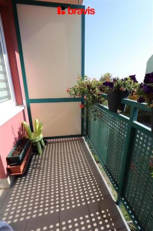 Pronájem bytu 1+kk, Brno - Líšeň, Molákova, 35 m2