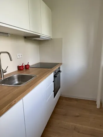 Prodej bytu 1+kk, Praha - Troja, 33 m2