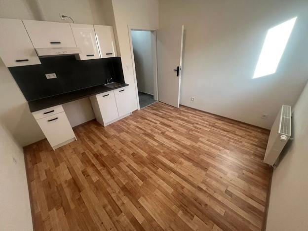 Pronájem bytu 1+kk, Praha - Břevnov, Na břevnovské pláni, 17 m2