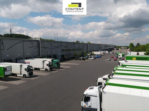 Pronájem skladu, Divišov - Měchnov, 14000 m2