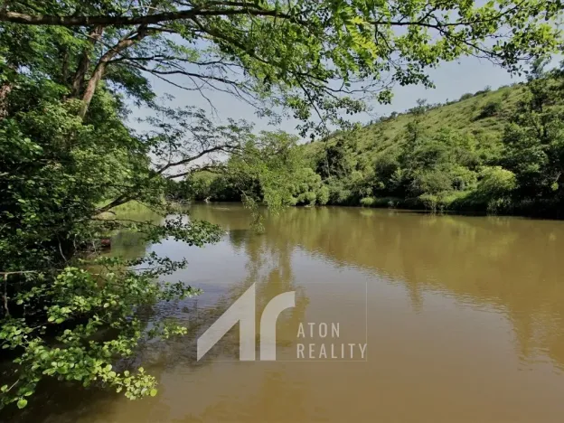 Prodej zahrady, Dyje, 412 m2