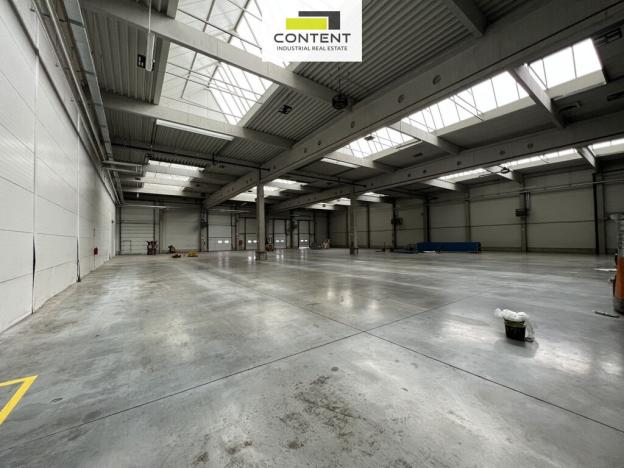 Pronájem skladu, Ostrava - Hrabová, K Zyfu, 3504 m2