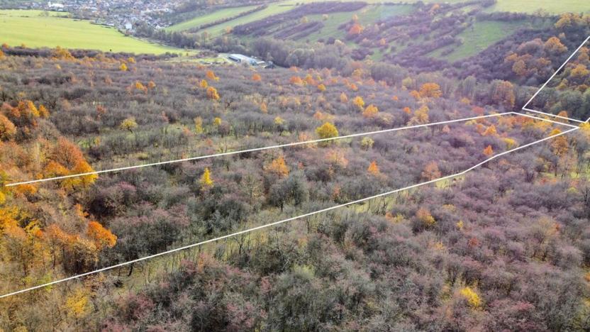 Prodej zahrady, Újezdec, 1891 m2