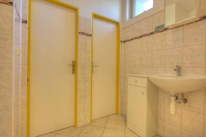 Prodej obchodního prostoru, Studenec, 265 m2