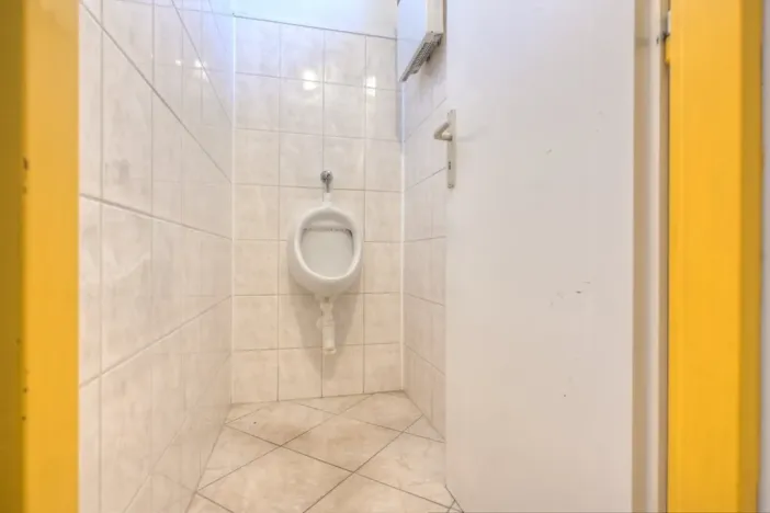 Prodej obchodního prostoru, Studenec, 265 m2