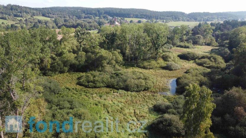 Prodej pozemku, Dolní Dvořiště - Rychnov nad Malší, 24285 m2