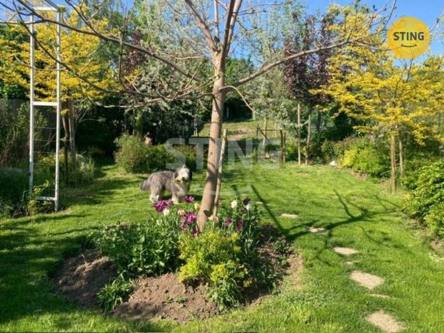 Pronájem rodinného domu, Mikulov, Bezručova, 204 m2