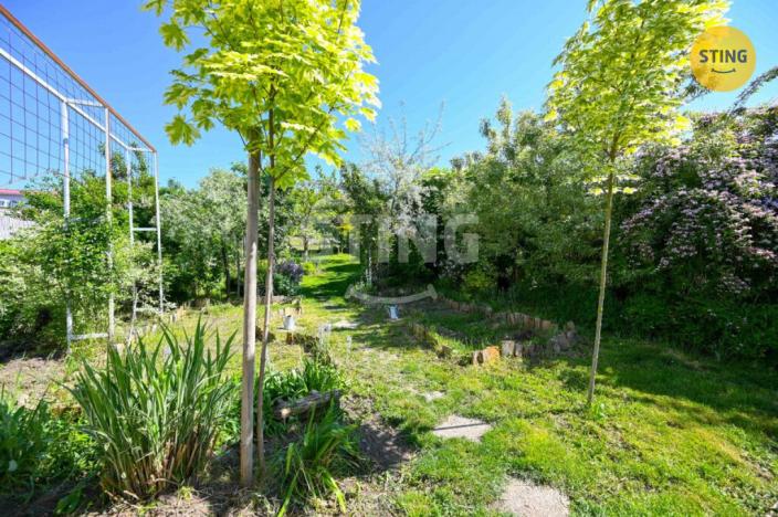 Pronájem rodinného domu, Mikulov, Bezručova, 204 m2