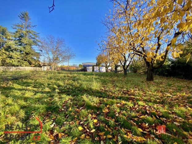 Prodej pozemku pro bydlení, Otice, Rybníčky, 1049 m2