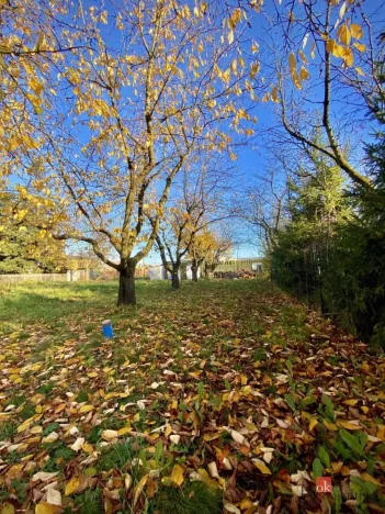 Prodej pozemku pro bydlení, Otice, Rybníčky, 1049 m2