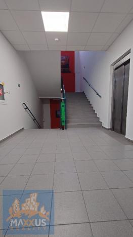 Pronájem kanceláře, Praha - Kunratice, Jana Růžičky, 13 m2