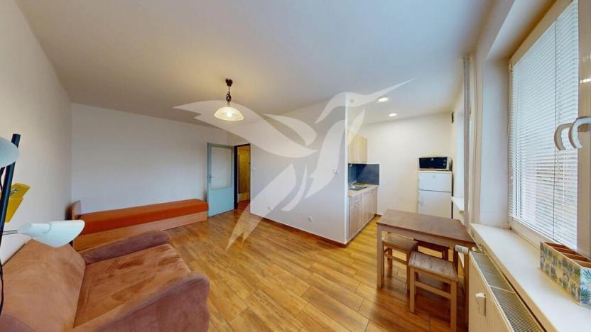 Pronájem bytu 1+1, Praha - Záběhlice, Svojšovická, 27 m2