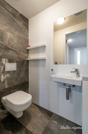 Pronájem bytu 2+kk, Praha - Žižkov, Hartigova, 58 m2