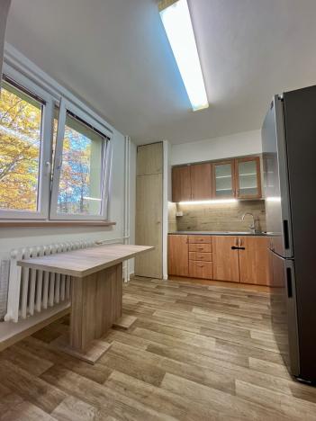 Pronájem bytu 3+1, Ostrava - Poruba, Ivana Sekaniny, 84 m2