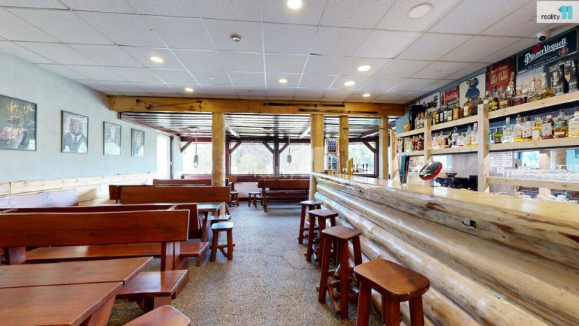 Pronájem ubytování, Loučná pod Klínovcem - Loučná, 229 m2