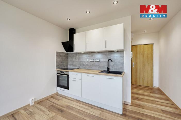 Prodej bytu 1+kk, Horní Bříza, U Vrbky, 25 m2