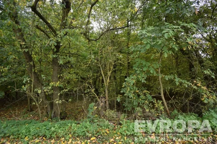 Prodej chalupy, Samopše - Mrchojedy, 71 m2