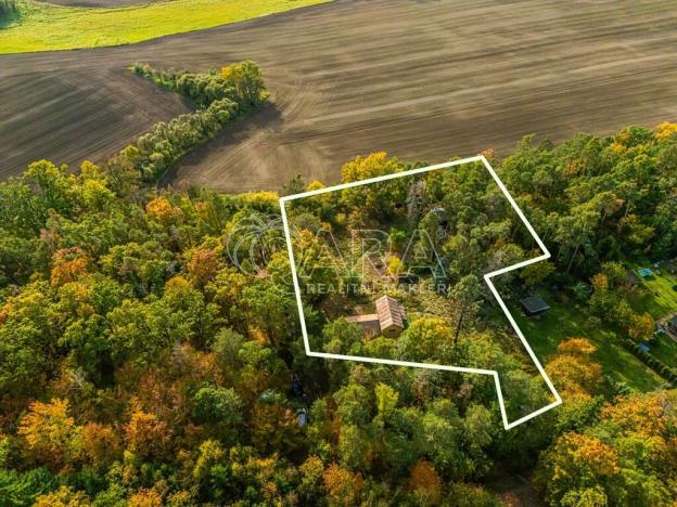 Prodej chaty, Nové Dvory - Krámy, 100 m2