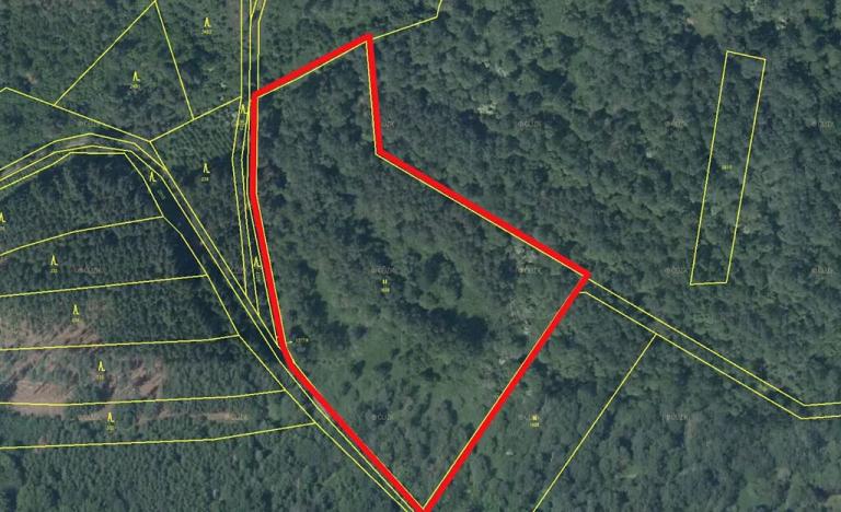 Prodej louky, Poleň, 16367 m2