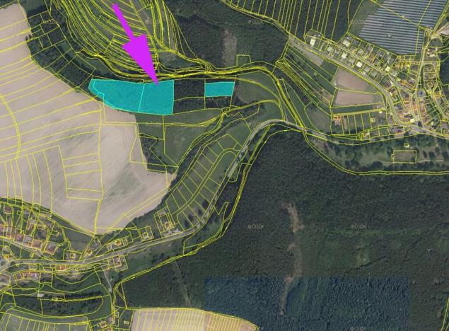 Prodej lesa, Malá Roudka, 7247 m2