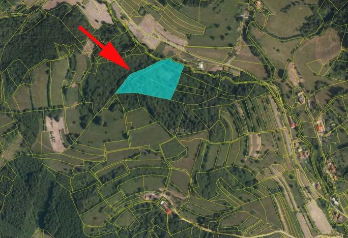 Prodej lesa, Huslenky, 13656 m2