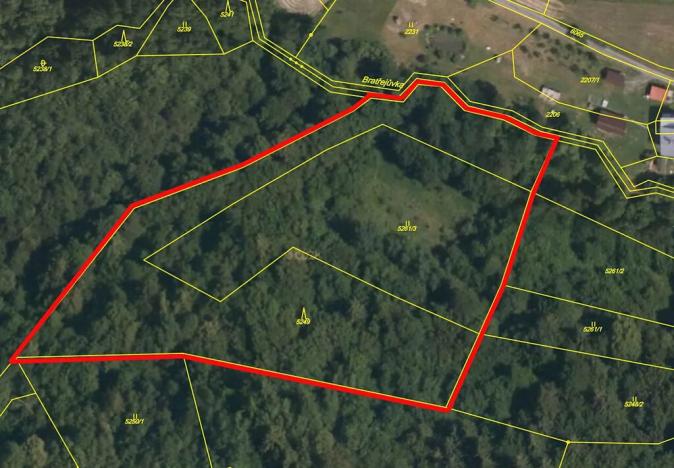 Prodej lesa, Huslenky, 13656 m2